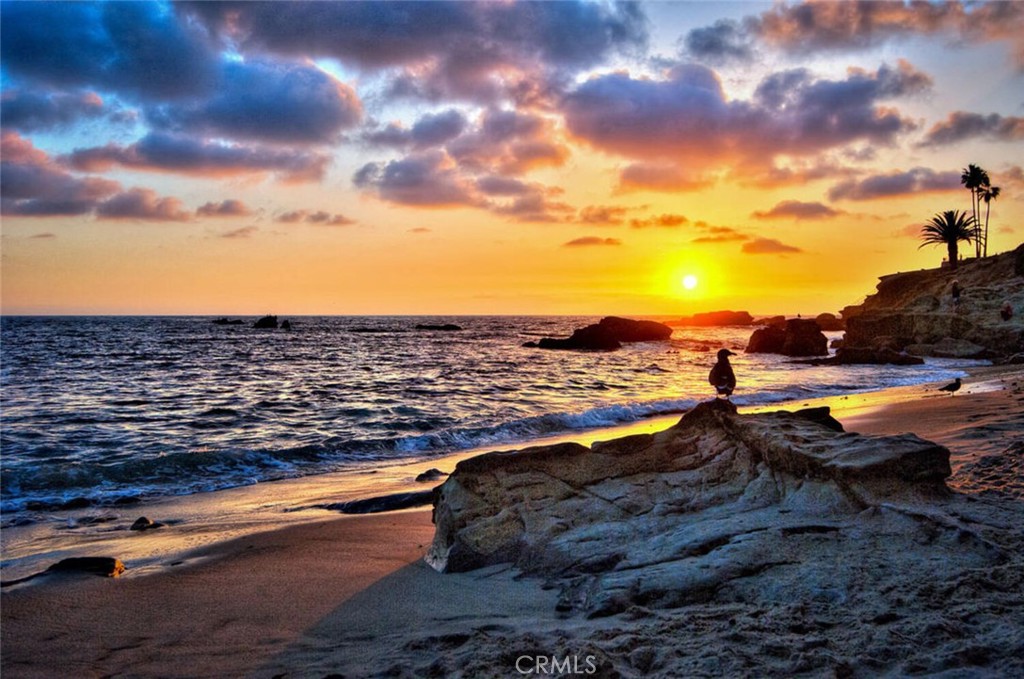 MLS #OC25233013 image #45