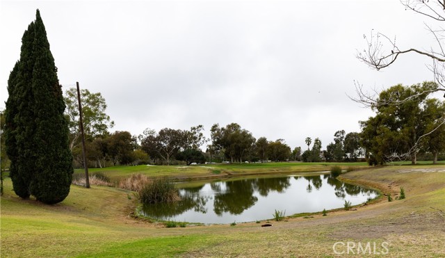 MLS #OC25233188 image #4