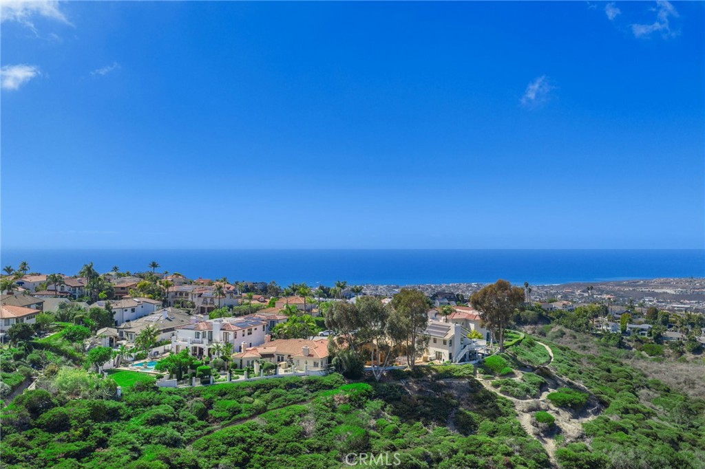 MLS #OC25233382 image #48