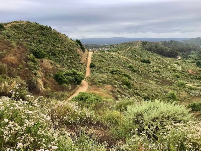 MLS #OC25234487 image #51