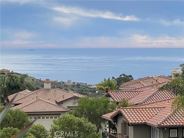 MLS #OC25234691 image #37