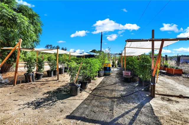 MLS #OC25234870 image #24