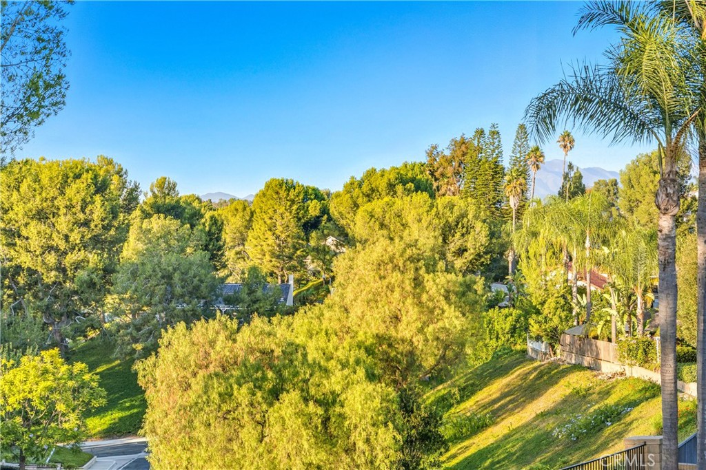 MLS #OC25236120 image #32