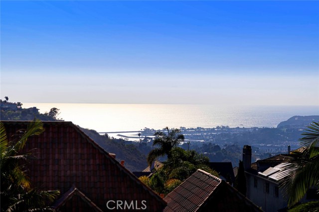 MLS #OC25236198 image #50