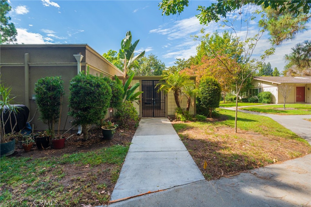 MLS #OC25236343 image #5