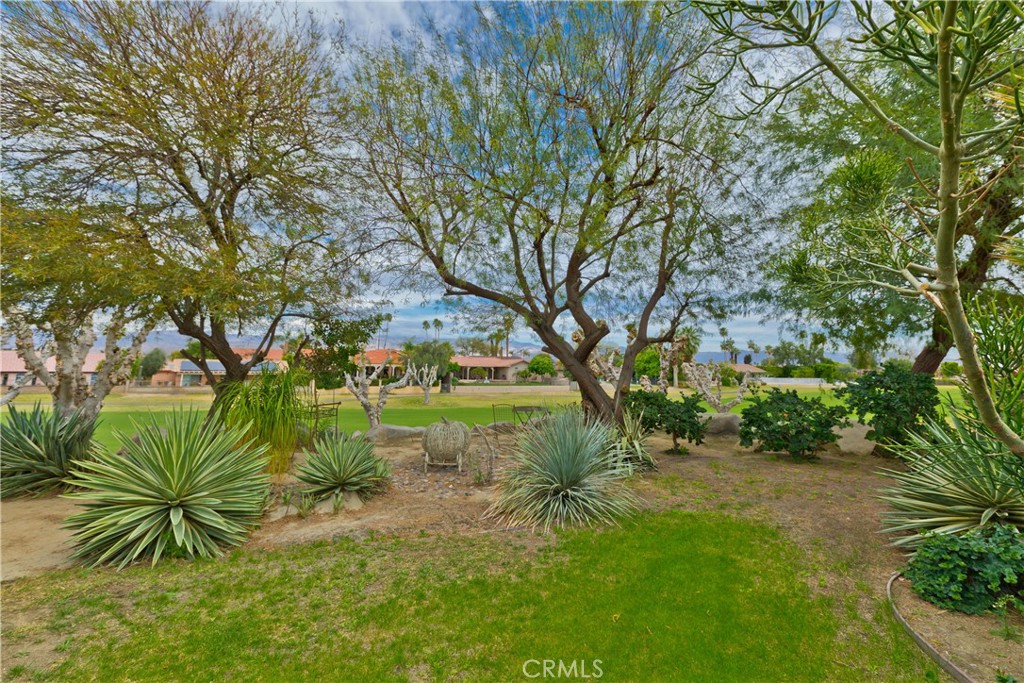 MLS #OC25236453 image #12