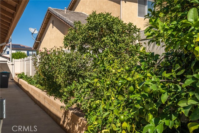 MLS #OC25236784 image #33