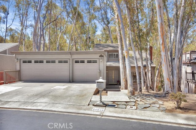 MLS #OC25163088 image #0