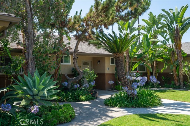 MLS #OC25236975 image #5