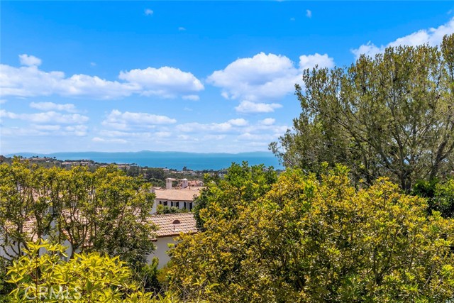 MLS #OC25237123 image #34