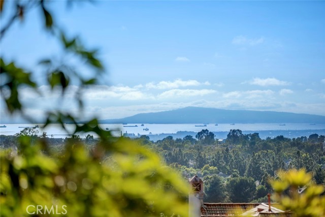 MLS #OC25237123 image #35