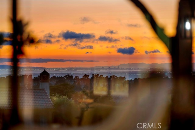 MLS #OC25237123 image #49