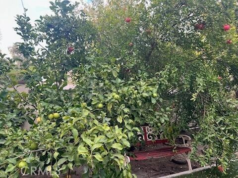 MLS #OC25237166 image #27