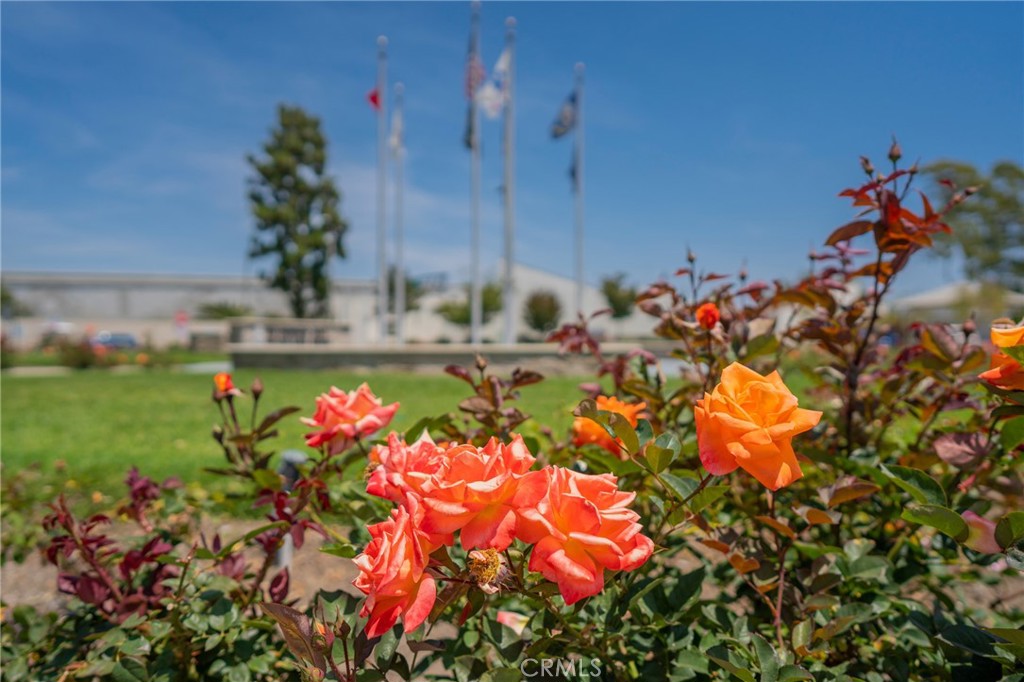 MLS #OC25237613 image #38