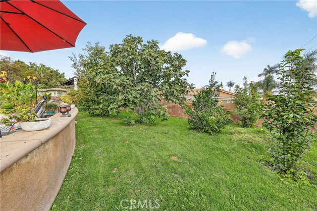 MLS #OC25237725 image #31