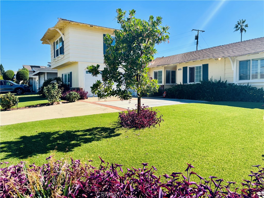 MLS #OC25237755 image #1