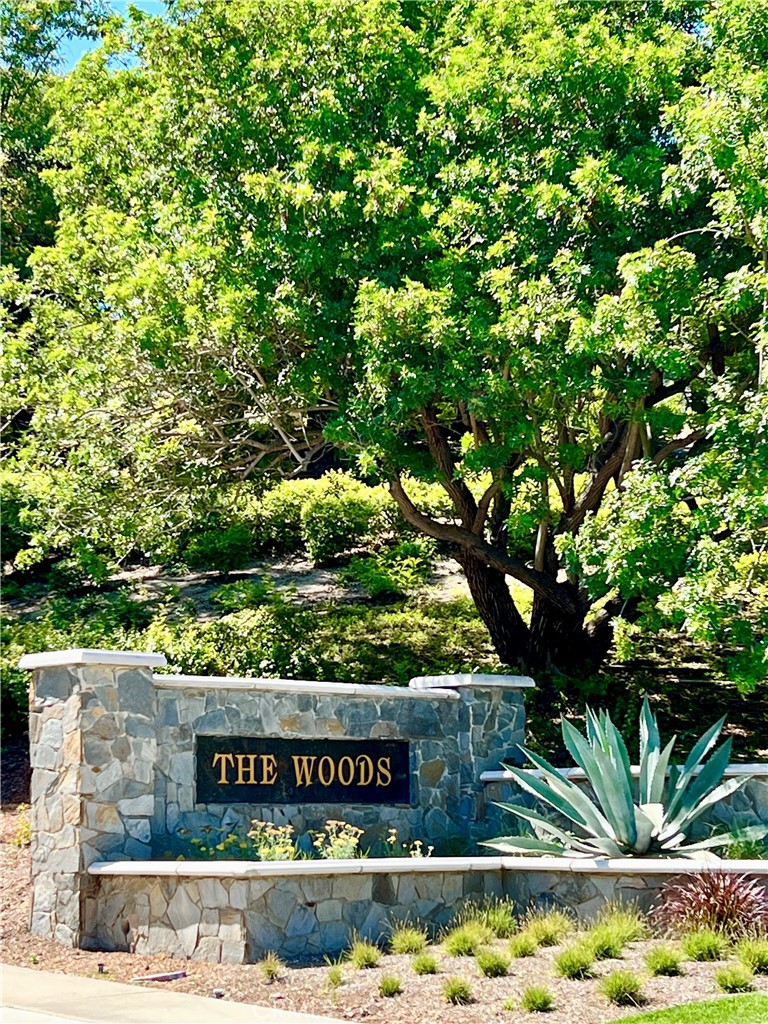 MLS #OC25237764 image #54