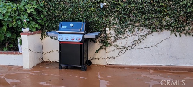 MLS #OC25238016 img 18