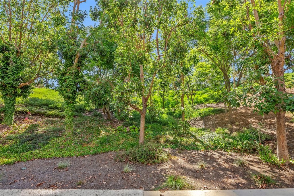 MLS #OC25238169 image #2