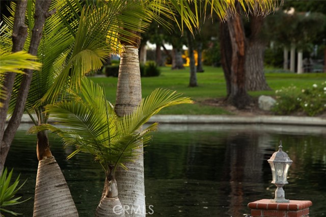 MLS #OC25238667 image #40