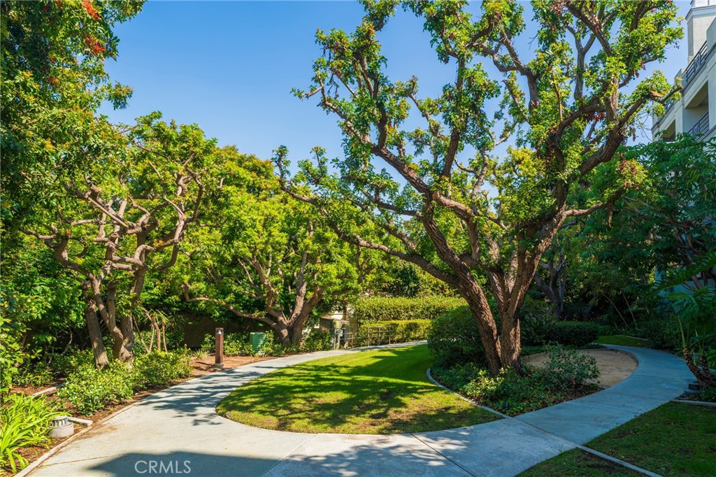 MLS #OC25239545 image #3