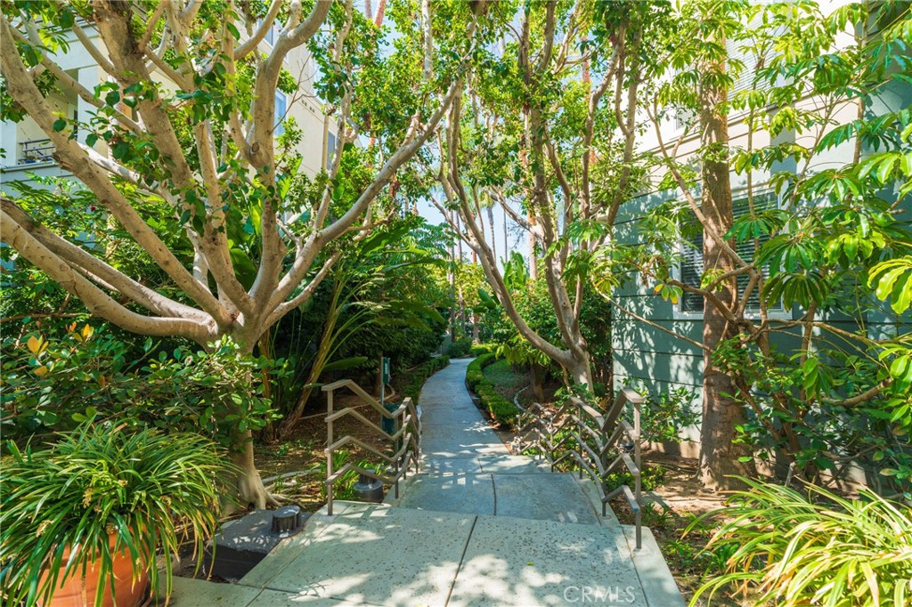 MLS #OC25239545 image #4