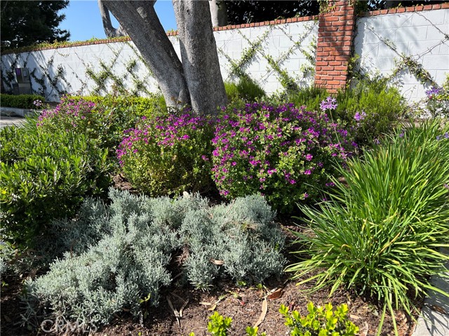 MLS #OC25239987 img 57