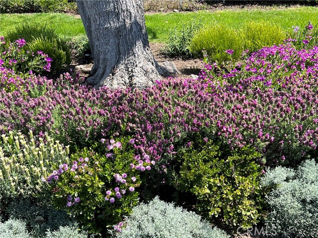 MLS #OC25239987 img 58