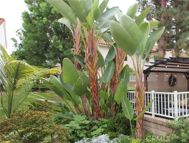 MLS #OC25240290 image #36