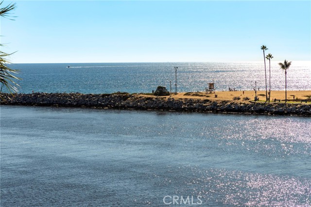 MLS #OC25240451 image #5