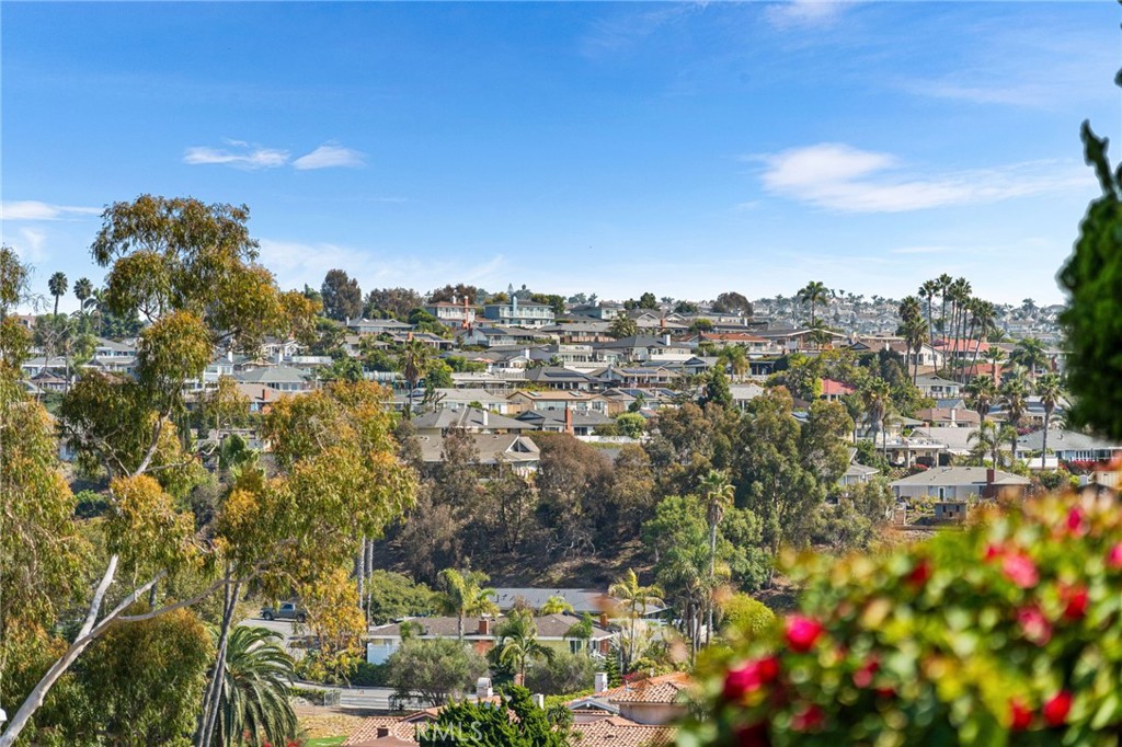 MLS #OC25240852 image #46