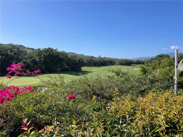 MLS #OC25240874 image #49