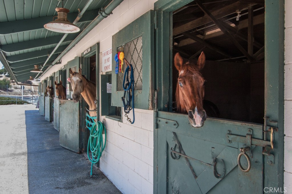 MLS #OC25241293 image #37