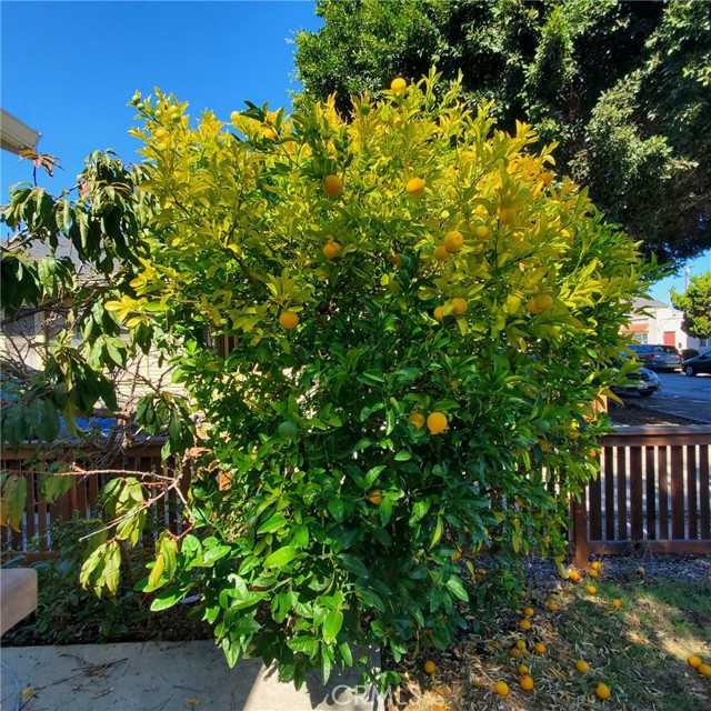 MLS #OC25241517 image #6
