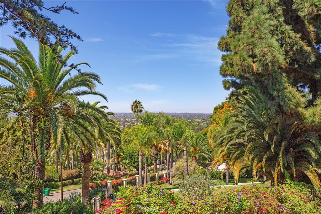 MLS #OC25241749 image #8