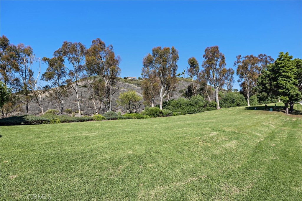 MLS #OC25241913 image #60