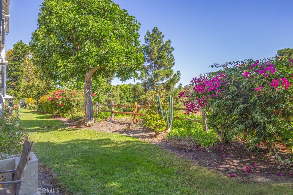 MLS #OC25242808 image #6