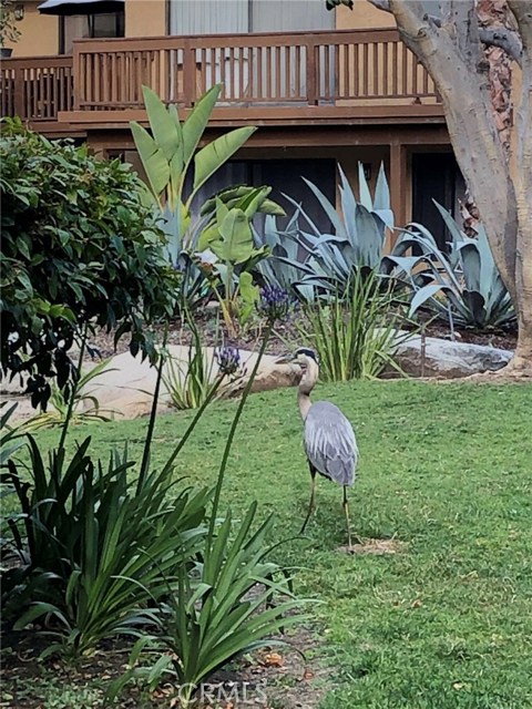 MLS #OC25242923 image #30