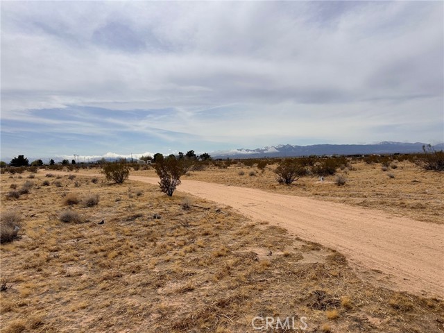 MLS #OC25242932 image #1