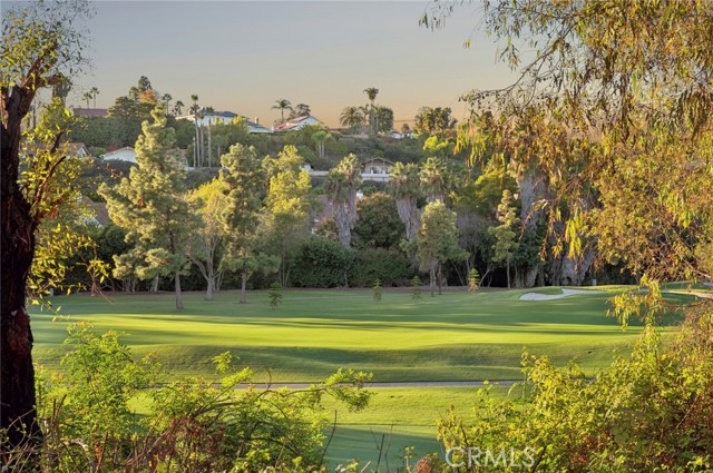 MLS #OC25243324 image #22