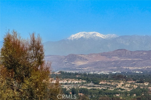 MLS #OC25243490 image #22