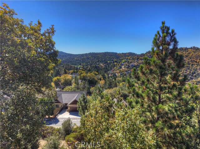 MLS #OC25243507 image #11