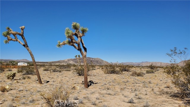 MLS #OC25243523 image #2