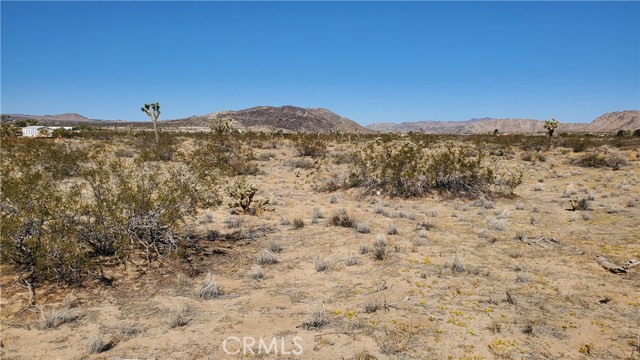 MLS #OC25243523 image #5