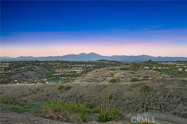 MLS #OC25243879 img 2