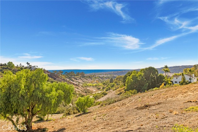 MLS #OC25243879 img 51