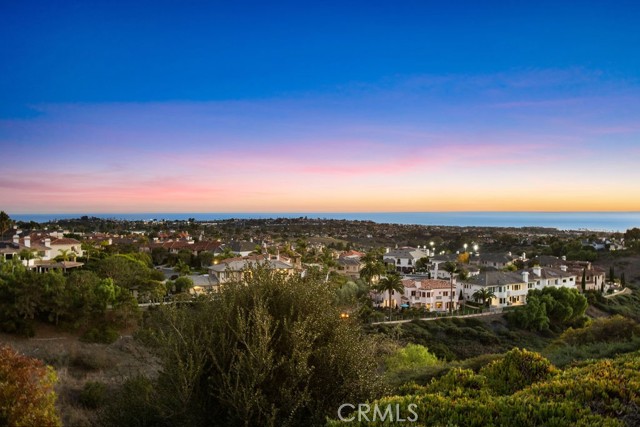 MLS #OC25243887 image #56