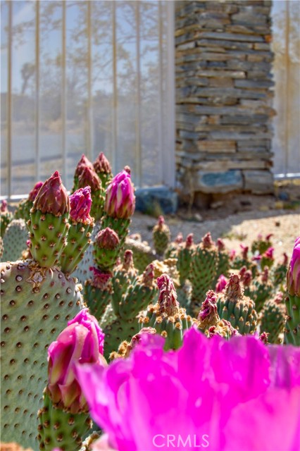 MLS #OC25244035 image #28