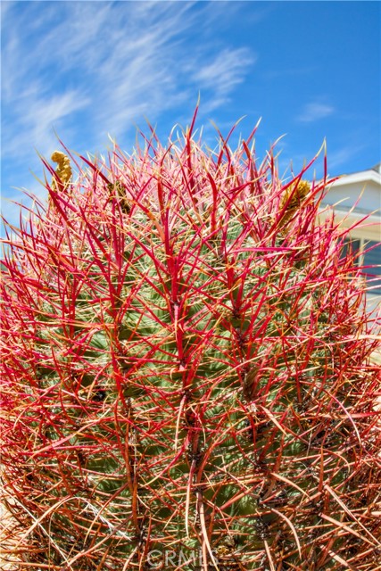 MLS #OC25244035 image #31