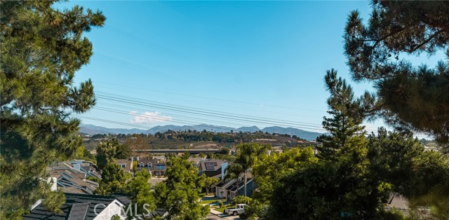 MLS #OC25244274 image #38